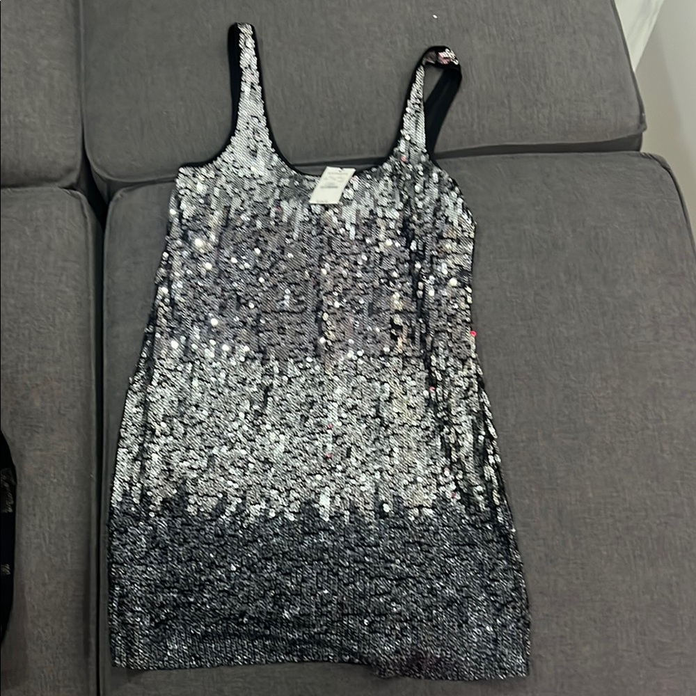 Express XS Silver Sequin dress